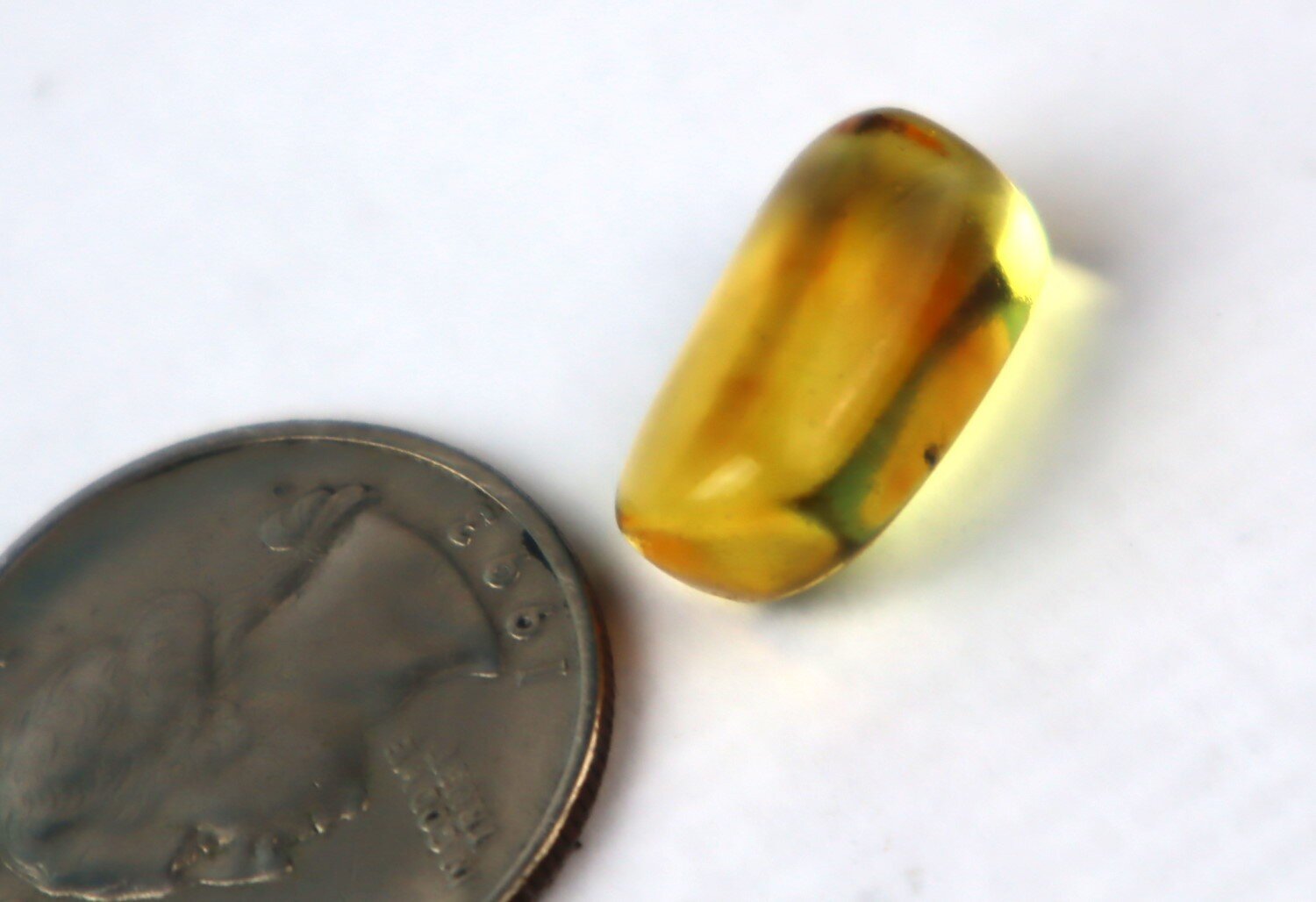 Natural Dominican Amber Insect Fossil – Polished Stone 18mm – photo 6