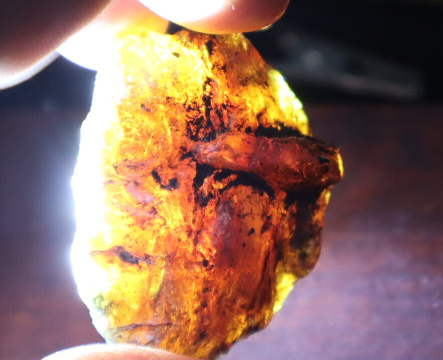 Exquisite Natural Dominican Clear Sky Blue Amber Rough Specimen 48mm 13.7g – photo 10