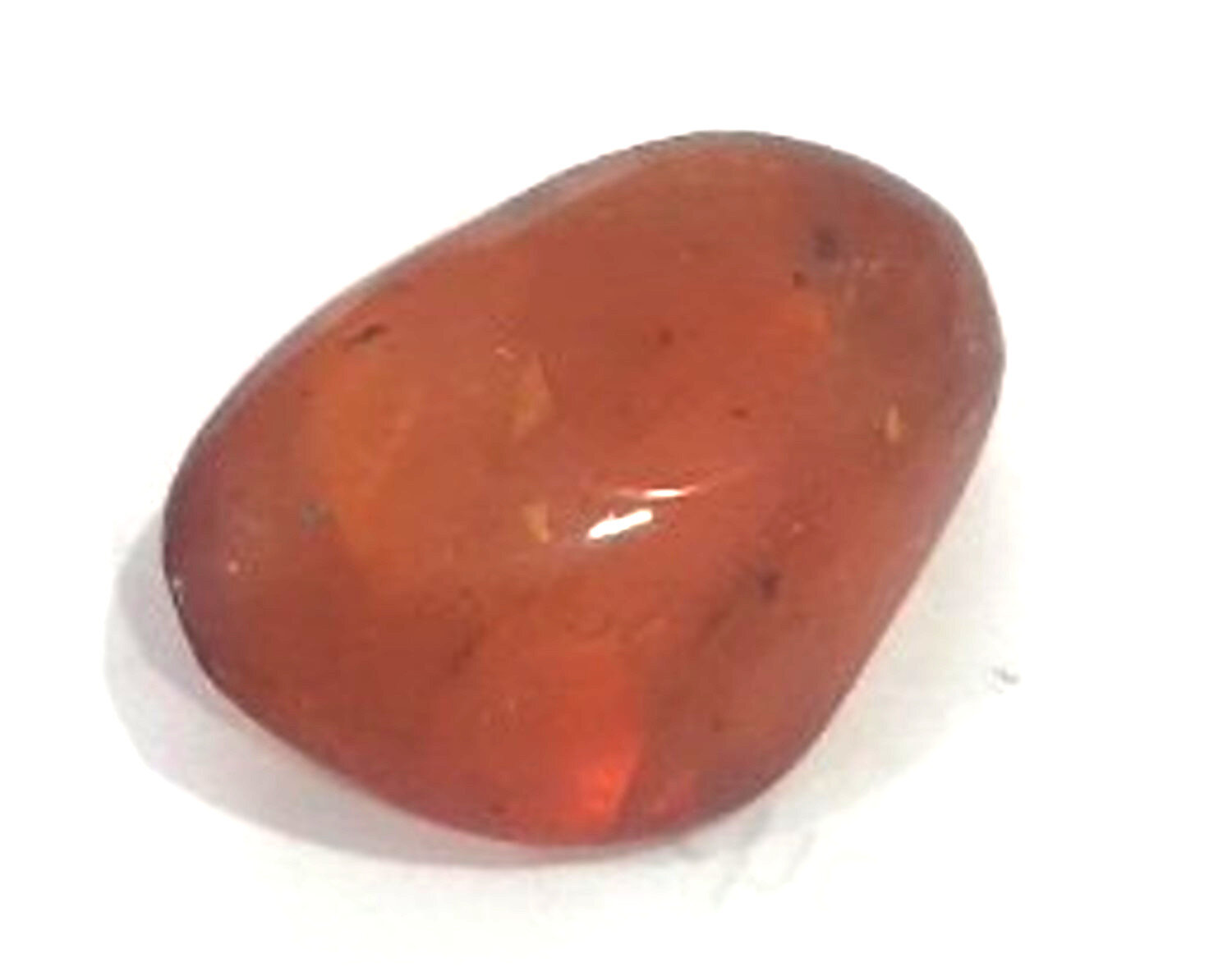 Natural Dominican Amber with Insect Inclusion 30mm – photo 4