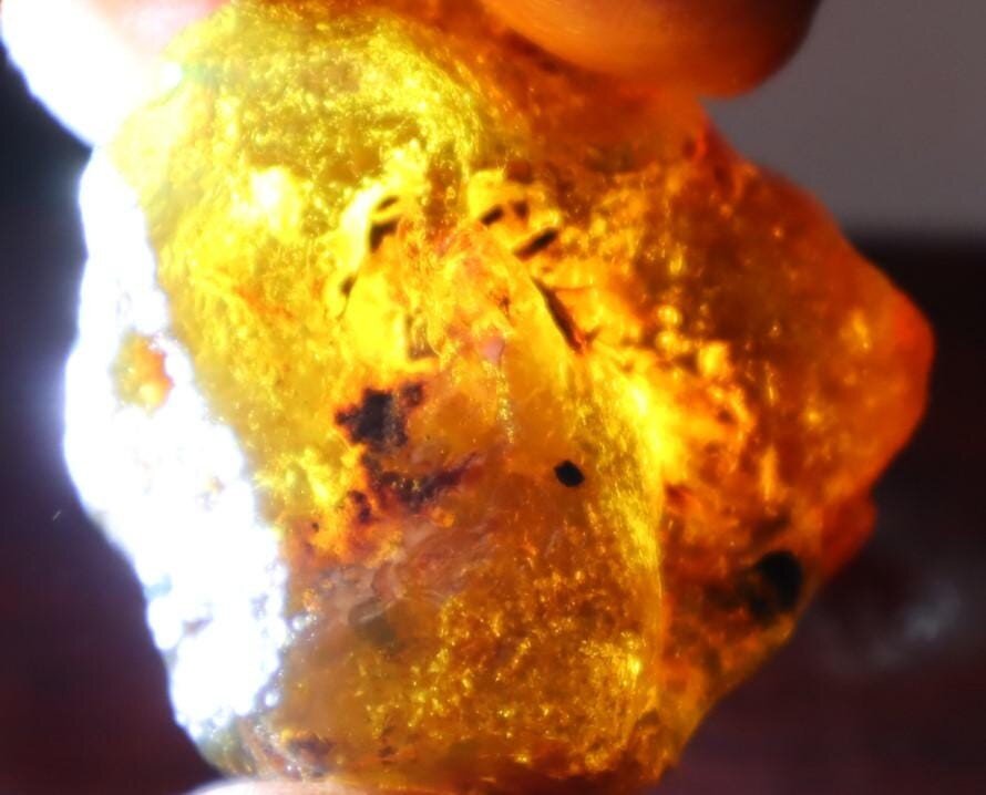 Impressive Natural Dominican Crystal Clear Green Blue Amber Rough Specimen 45mm – photo 4