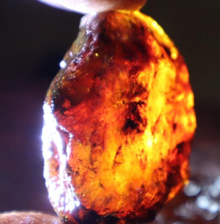 Charming Design Natural Dominican Clear Blue Red Amber Rough Specimen 44mm 14.6g – photo 9