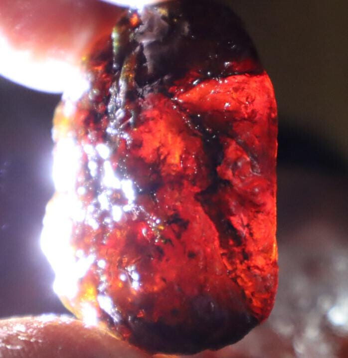 Charming Design Natural Dominican Clear Blue Red Amber Rough Specimen 44mm 14.6g – photo 10