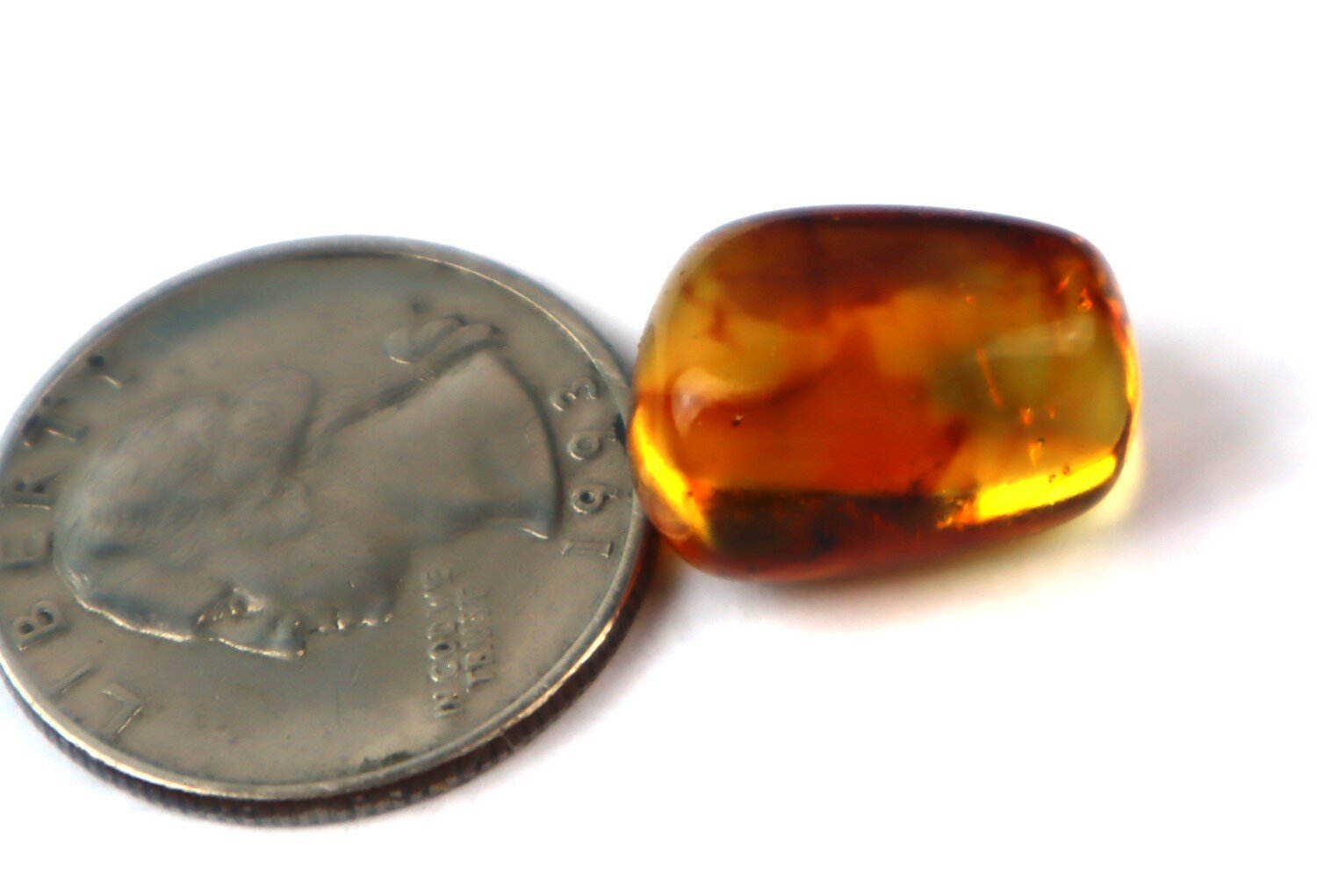 Natural Dominican Amber Insect Fossil – Polished Stone 18mm – photo 4